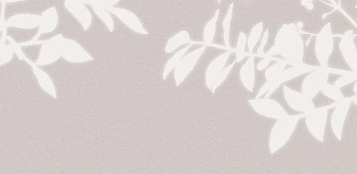 You’re a Cat, But You’ve Been Adopted by a Wolf Family? Chapter 76 203 22