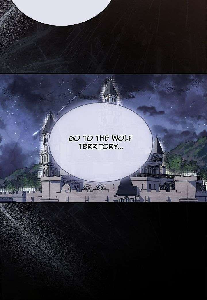 You’re a Cat, But You’ve Been Adopted by a Wolf Family? Chapter 76 207 26