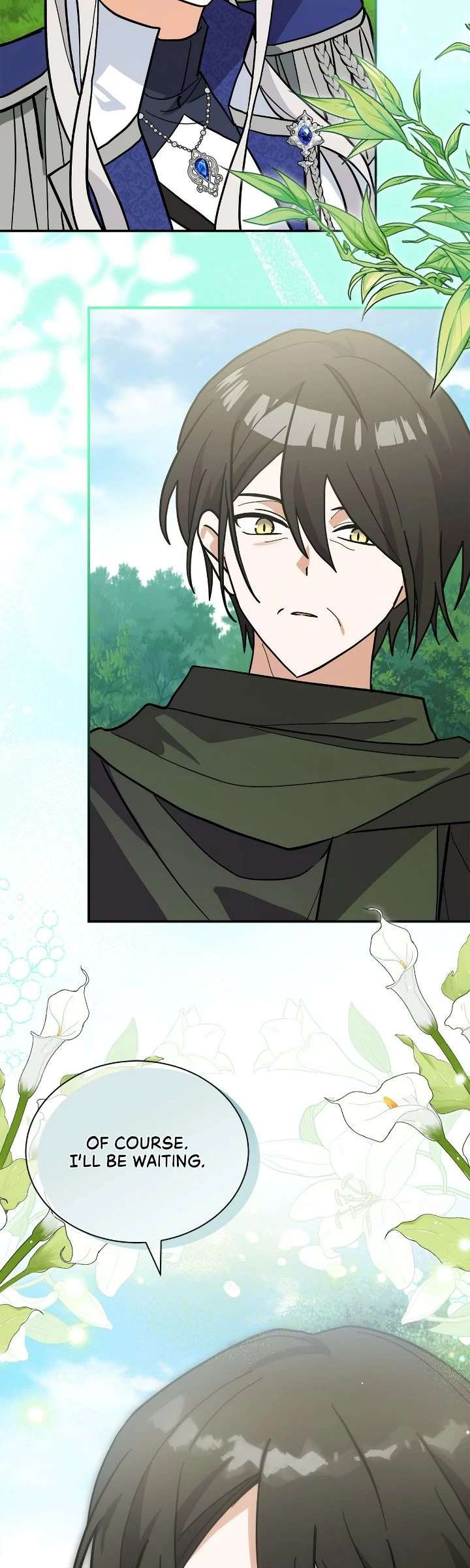 You’re a Cat, But You’ve Been Adopted by a Wolf Family? Chapter 76 221 40